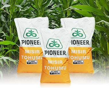 Tohum Satışı
